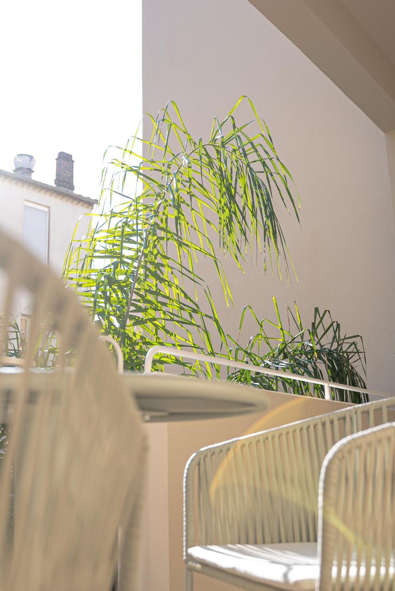 Studios Raffines Avec Terrasses - Plages, Ville Et Gare A Pied - Maison Raphael Saint-Raphaël Kültér fotó